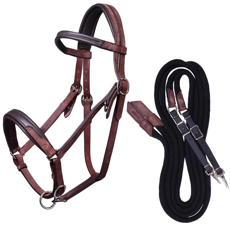 Testiera capezza + redini equitazione cavallo ESCAPE marrone