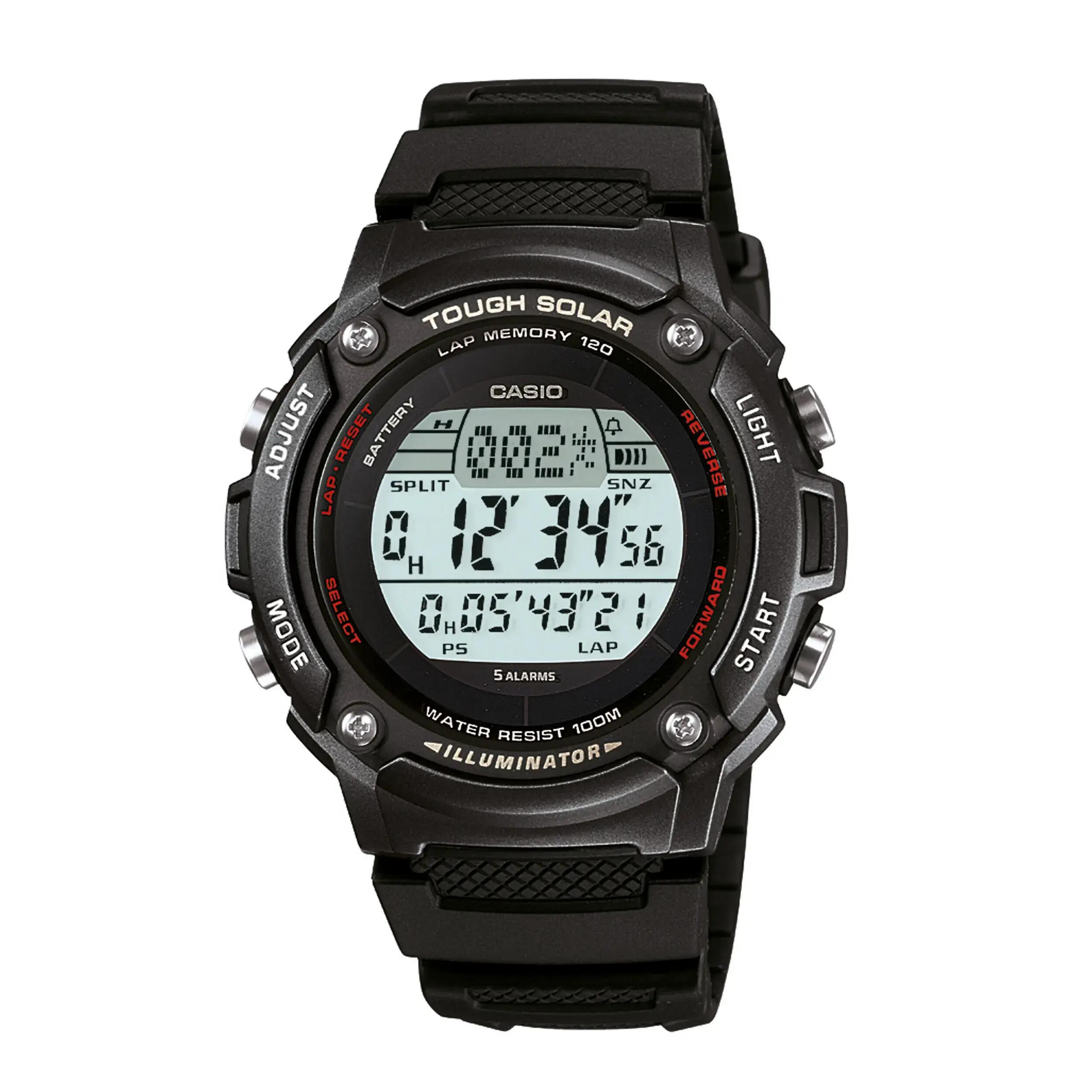 CASIO picture
