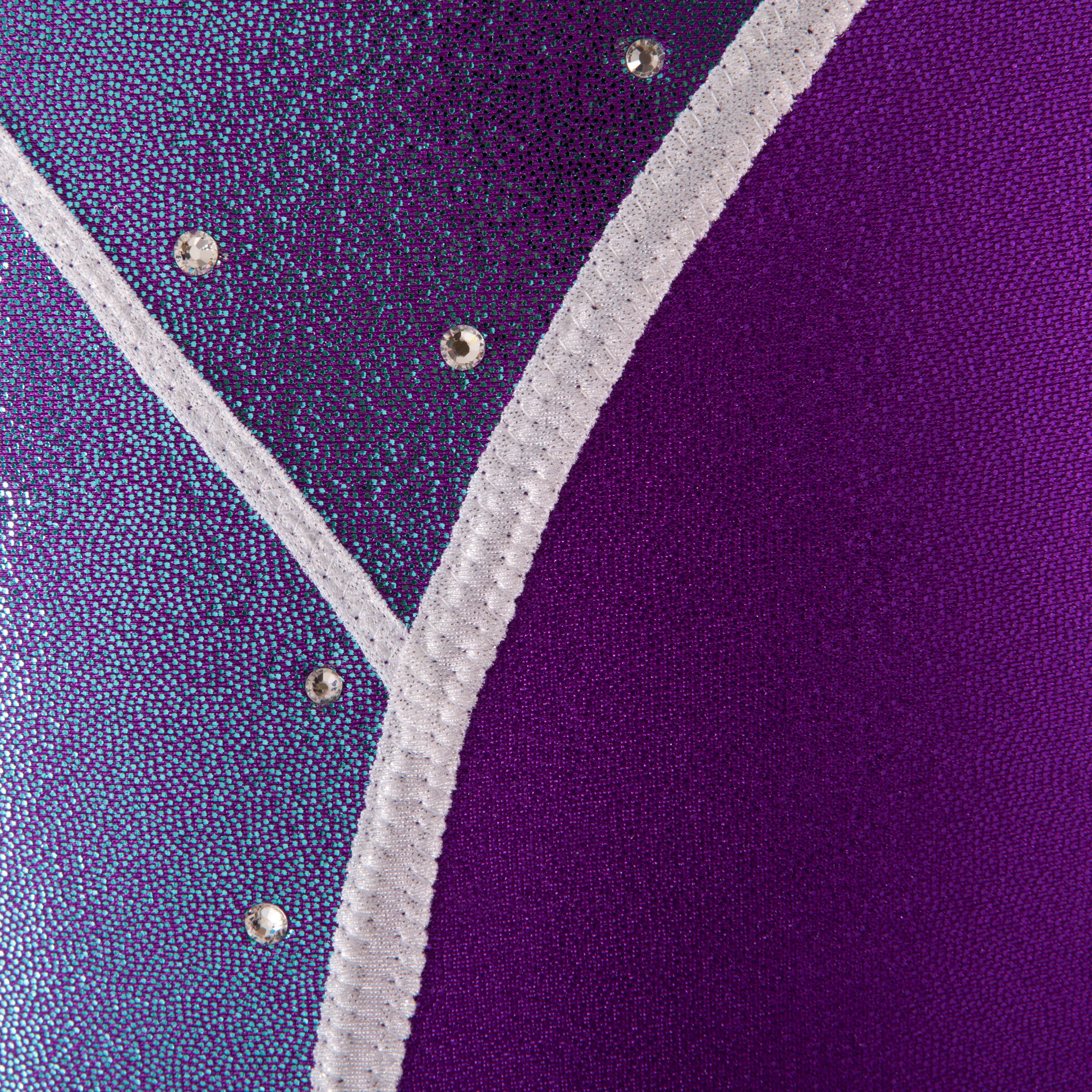 Girls' Gym Zebra Leotard - Blue 9/13