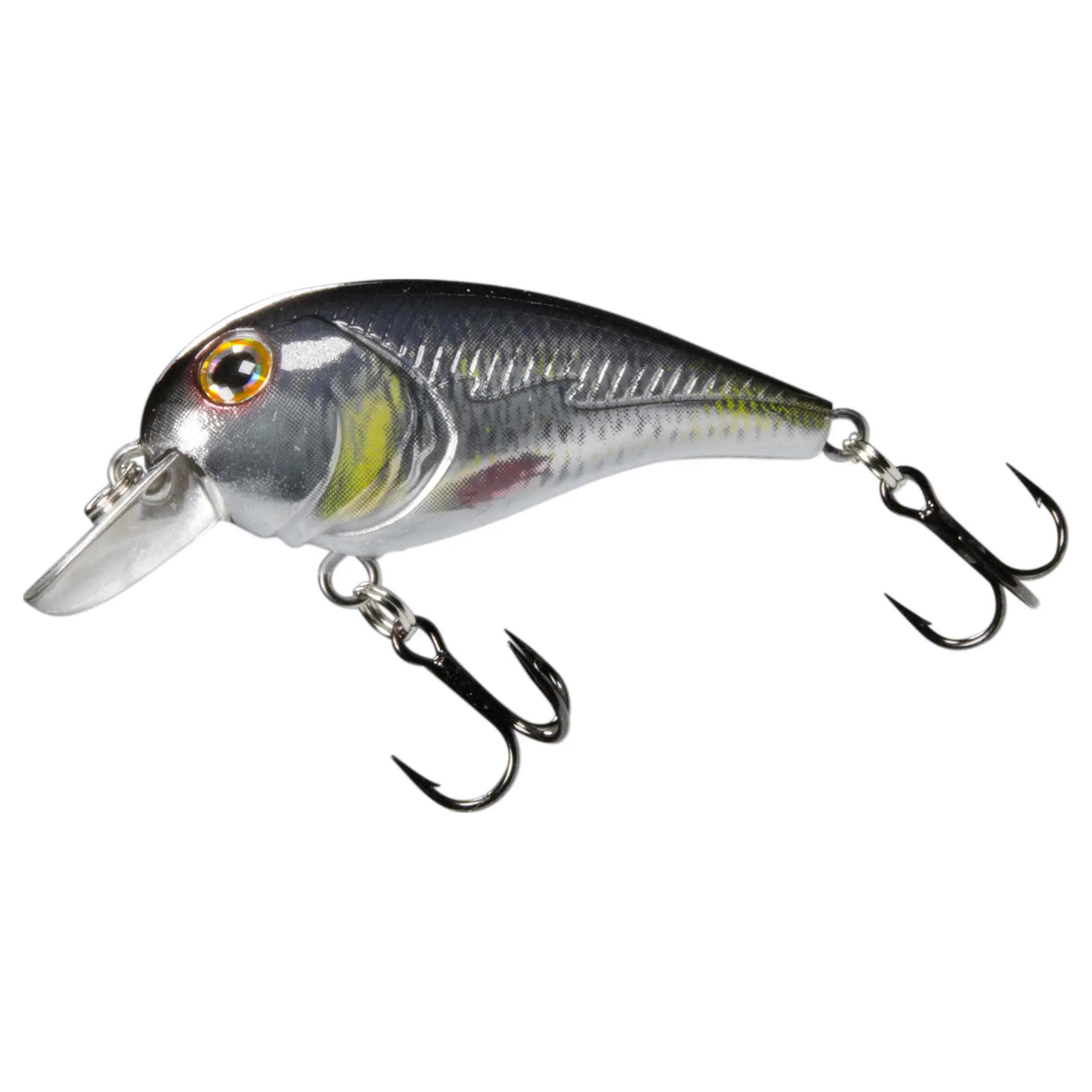 LUD 45 ROACH fishing plug bait 2/10