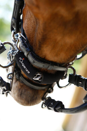 Alt/les accessoires d'embouchures