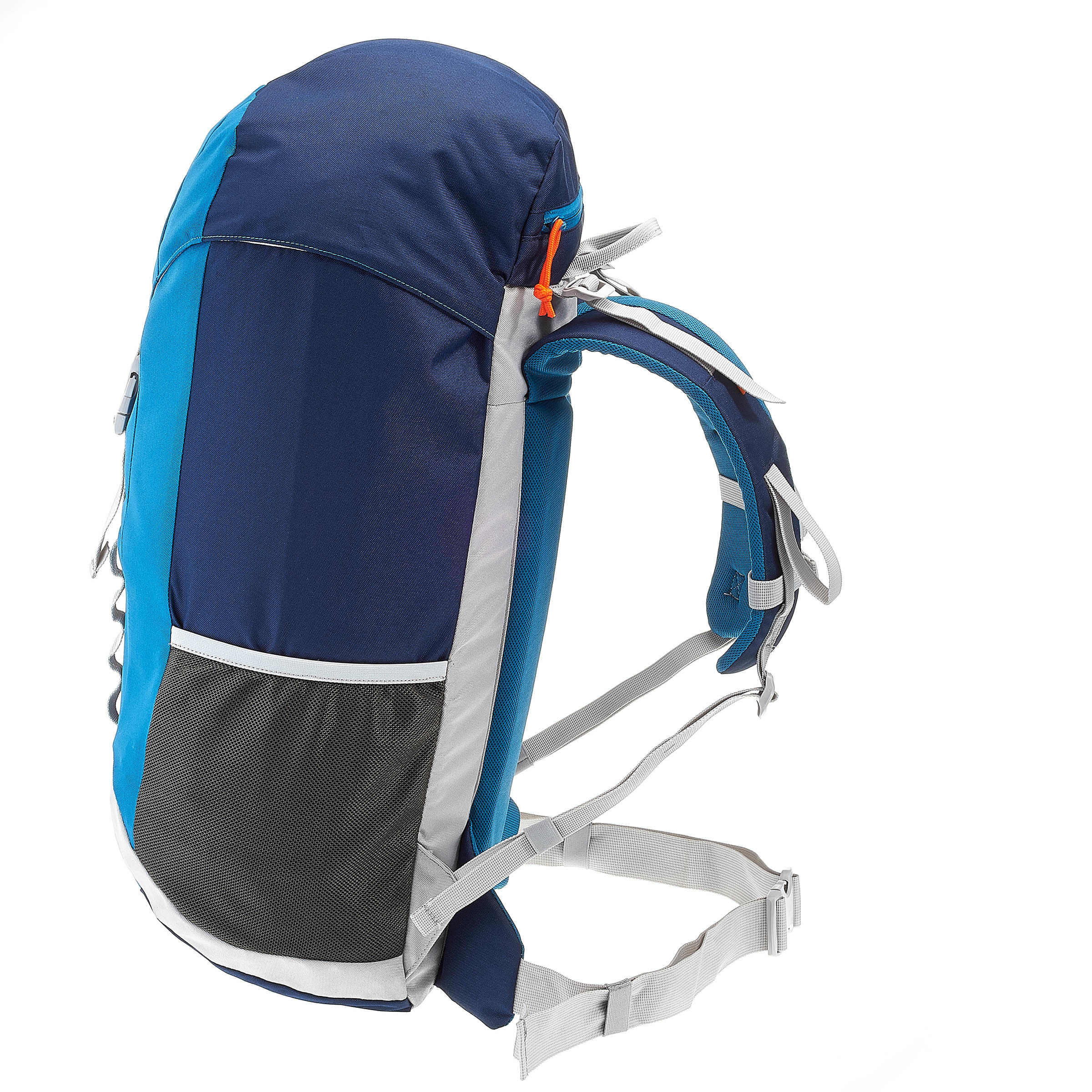 dakine alexa backpack