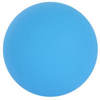 Artengo BT Plastic Ball - Blue