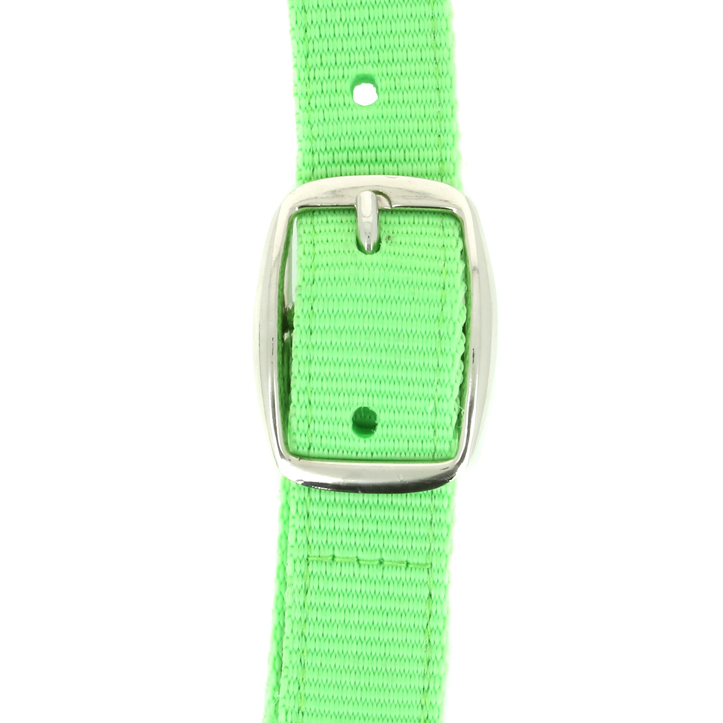 Angel Horse Riding Halter and Leadrope Set for Horse or Pony - Green 5/6