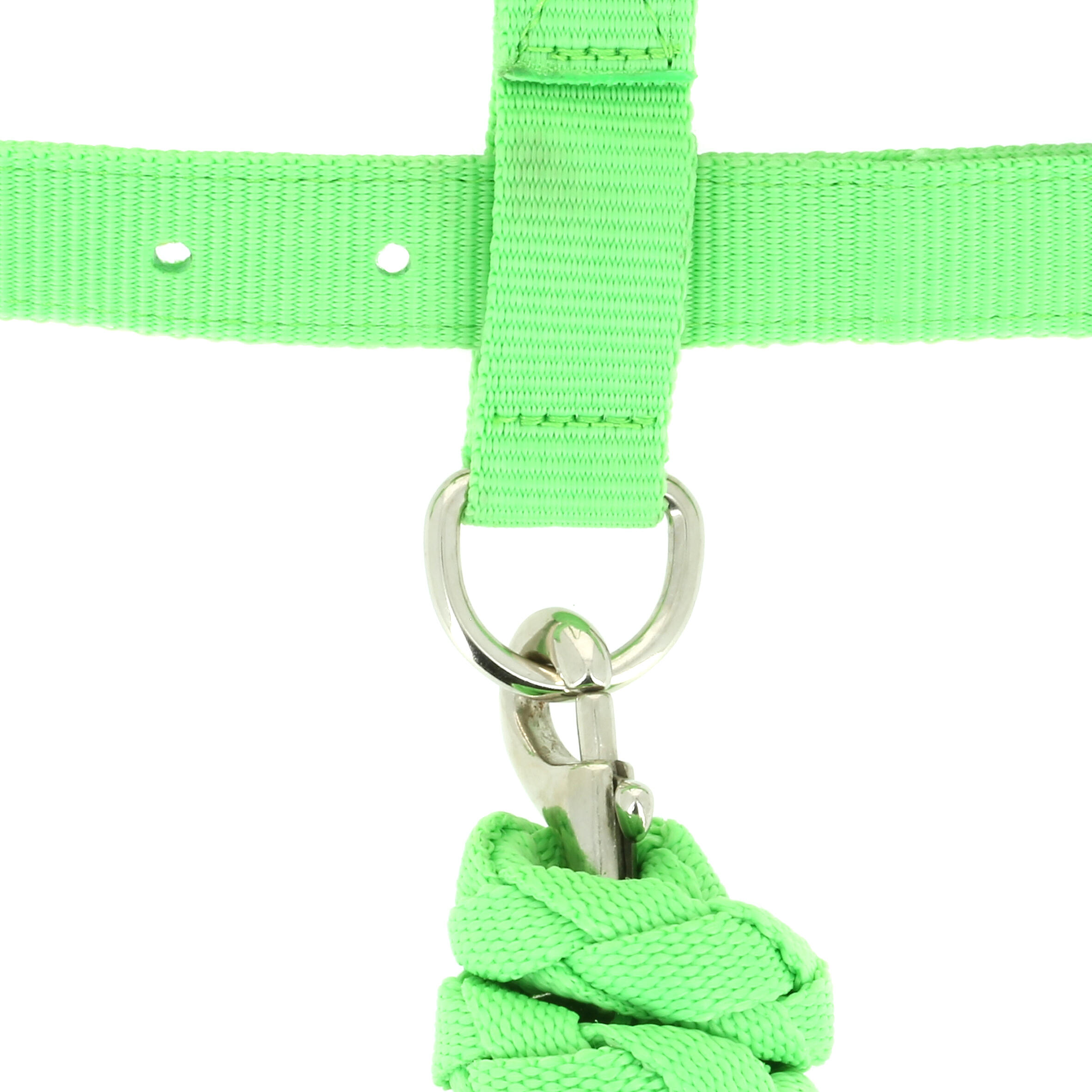 Angel Horse Riding Halter and Leadrope Set for Horse or Pony - Green 6/6