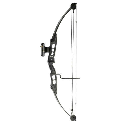 
      EZ COMPOUND BOW
  