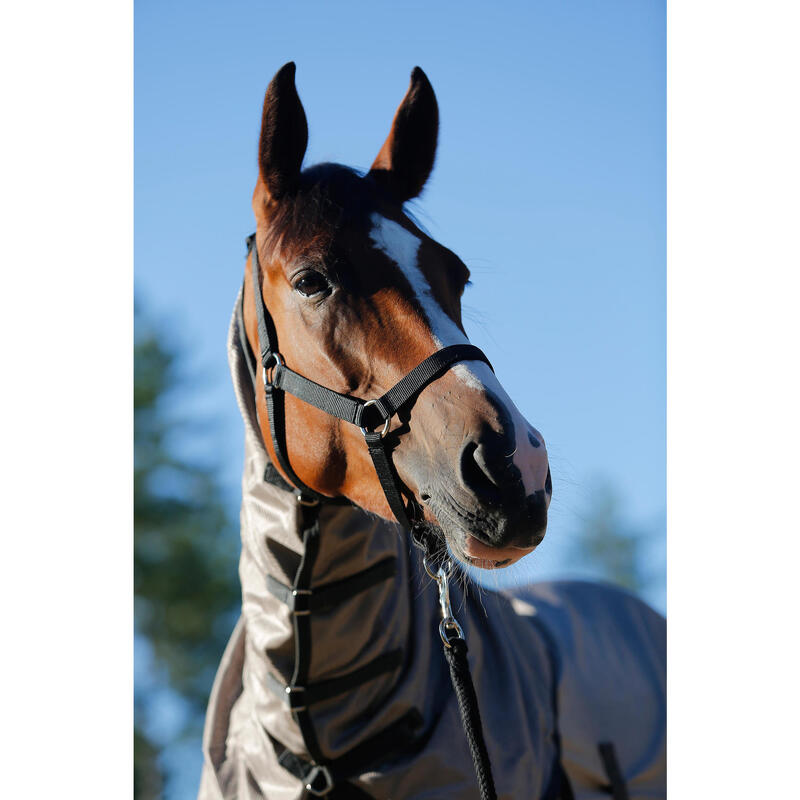 Chemise antimouche équitation chevaux et poneys beige