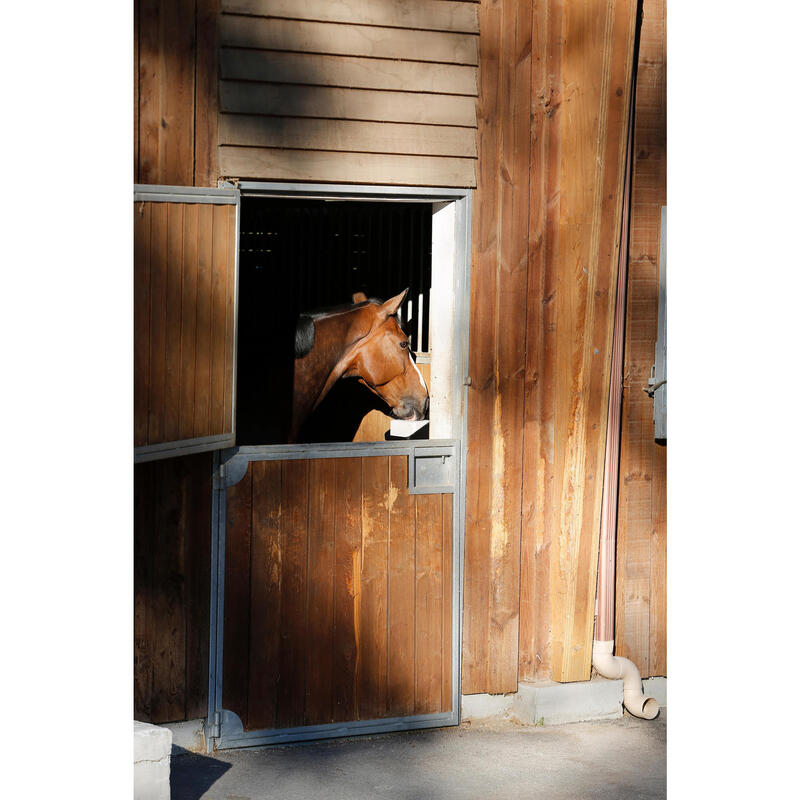 Zoutblok ruitersport paard en pony Fougasalt puur zout - 5 kg