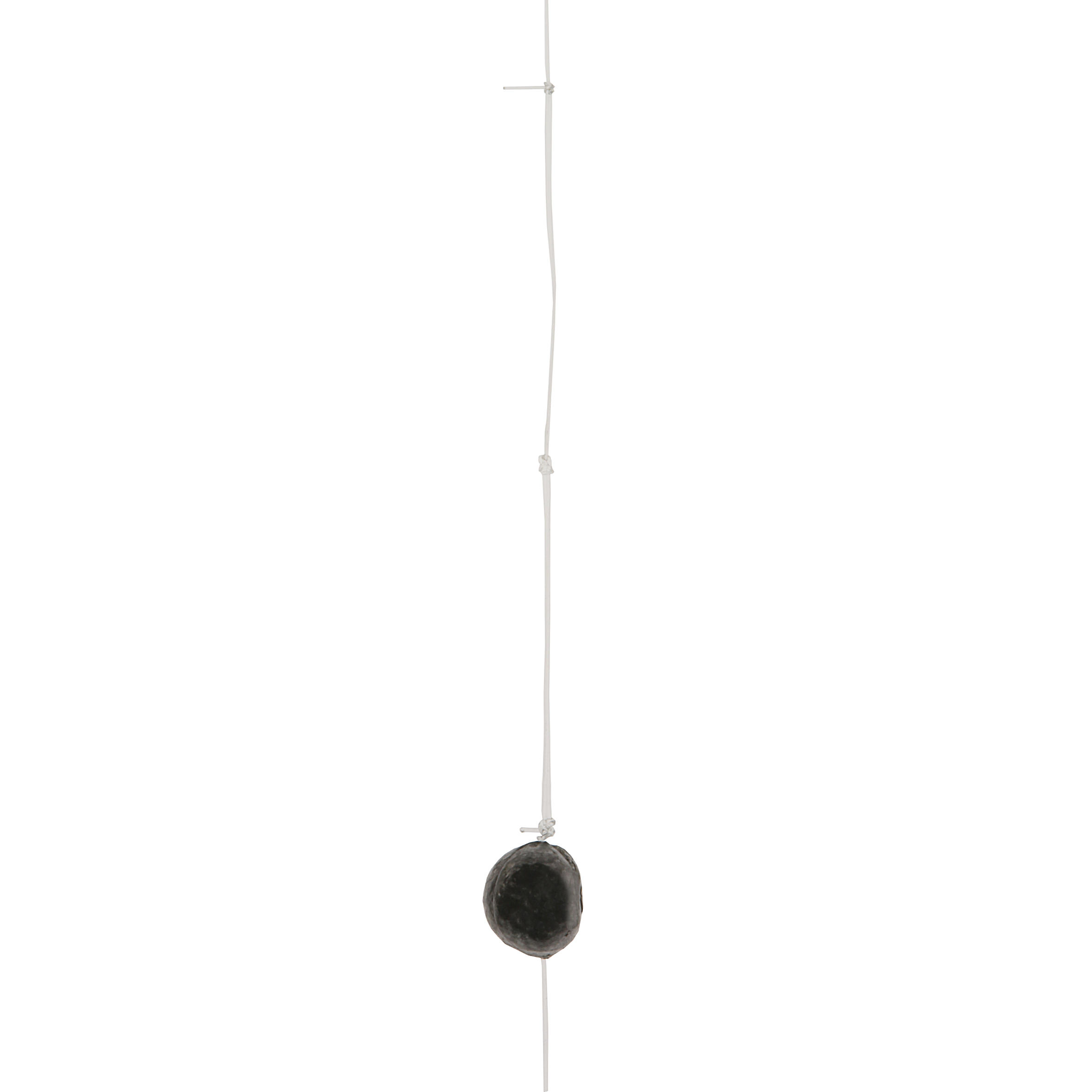 Lenza montata carpfishing al colpo POLE LAKESENSIV 0,4g  9/9