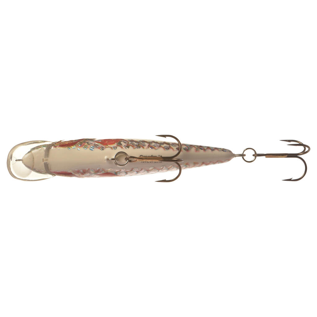 Plug Bait Floating Fishing CARP 10 CM