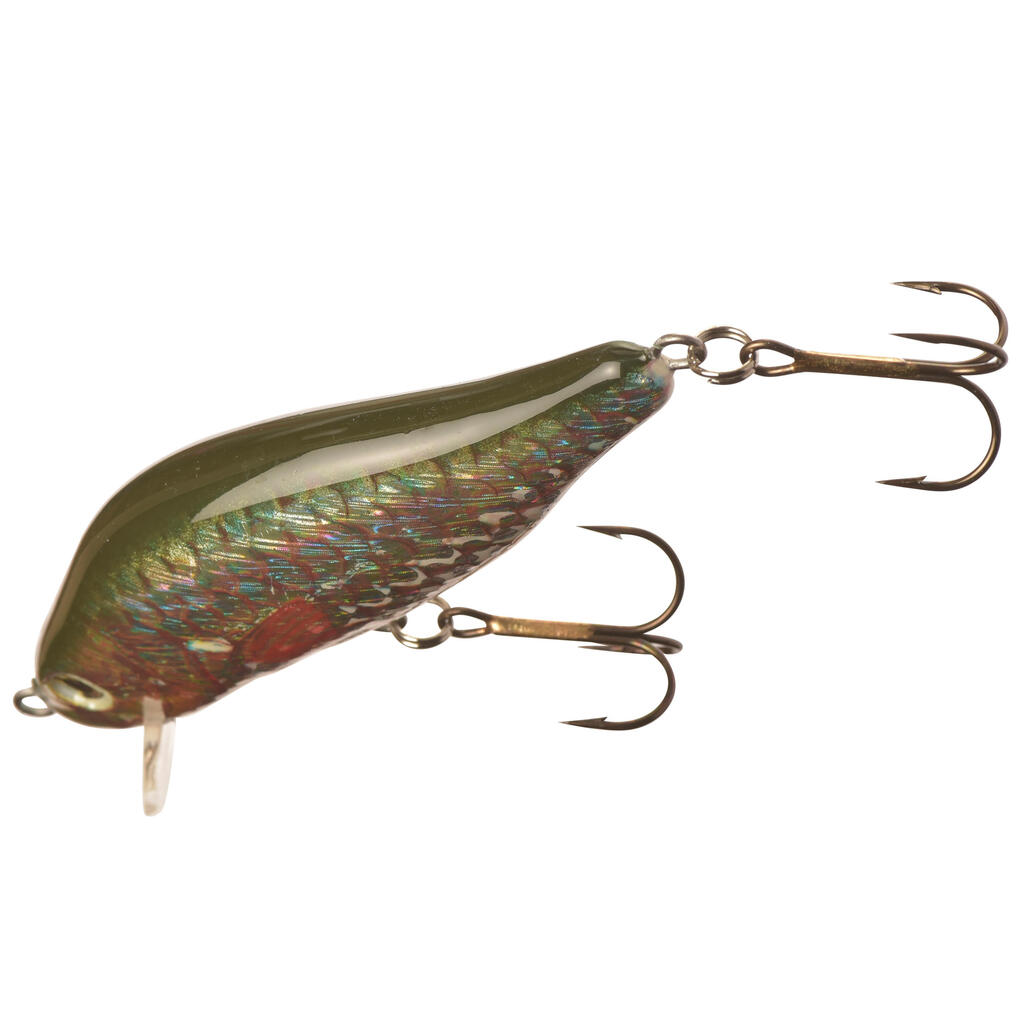 Plug Bait Floating Fishing CARP 10 CM