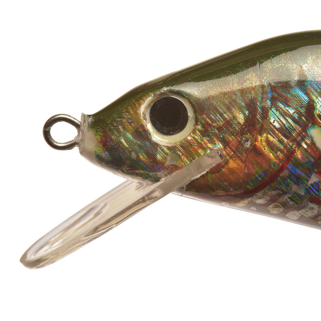 Plug Bait Floating Fishing CARP 10 CM