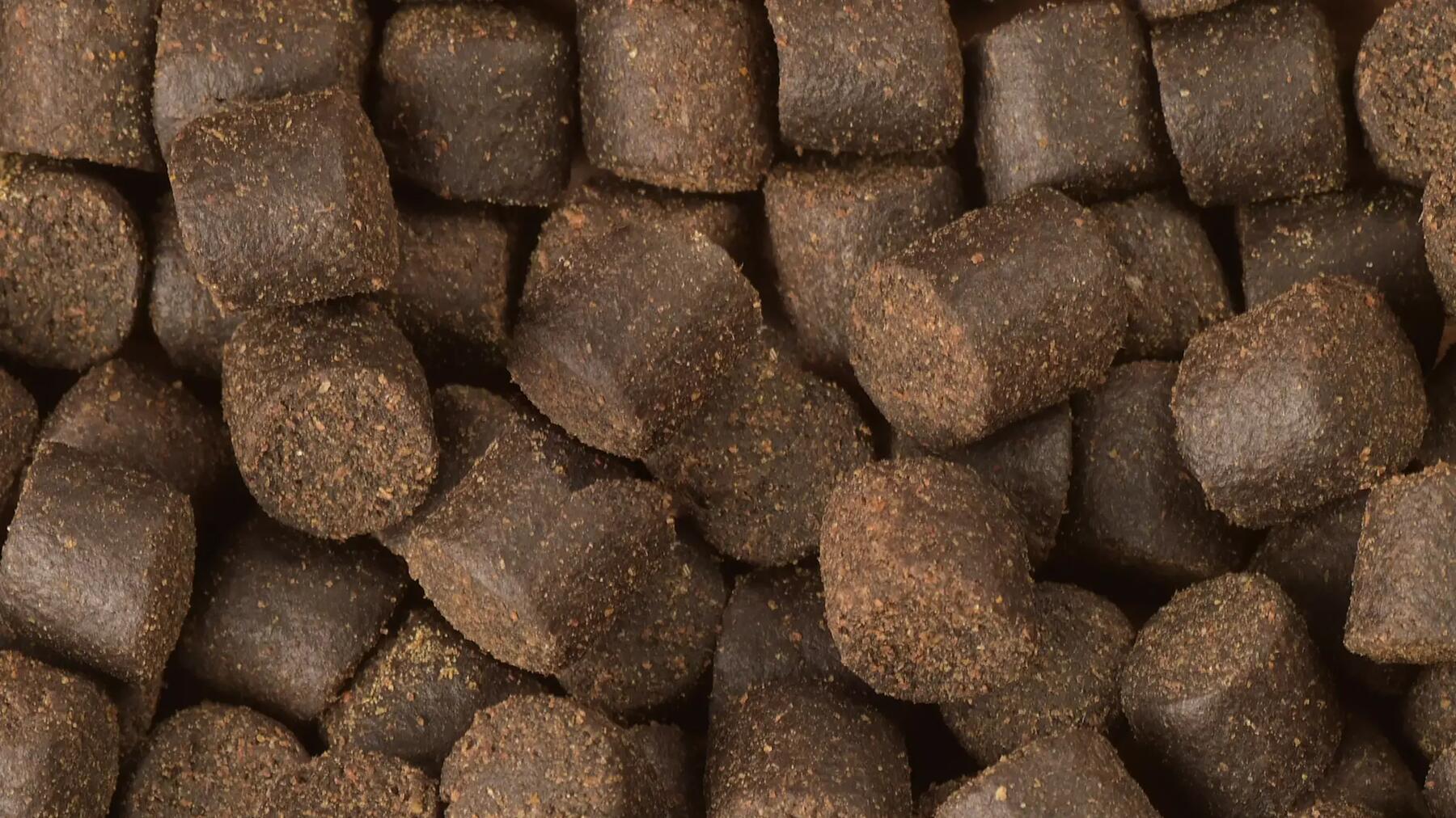 Zanęta dla ryb