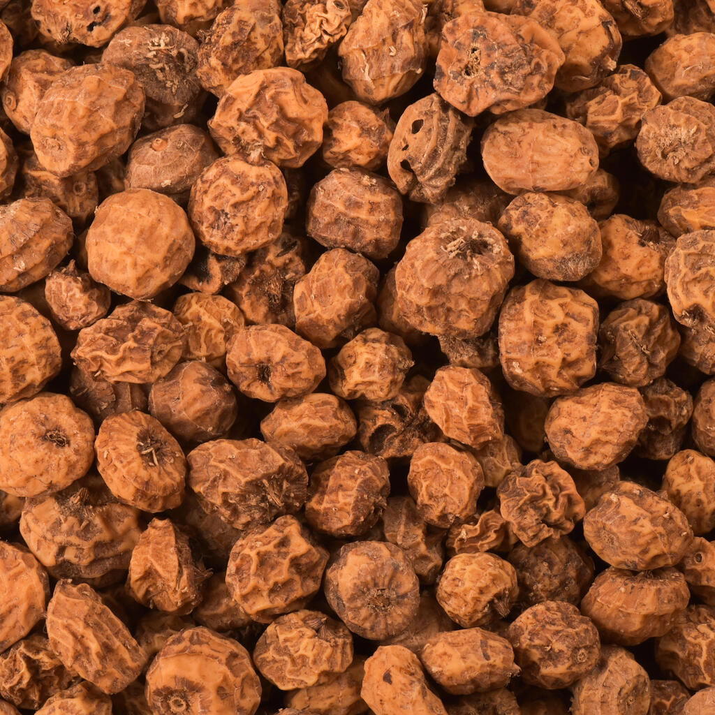 CARP FISHING SEEDS TIGER NUTS 6/14MM 20KG