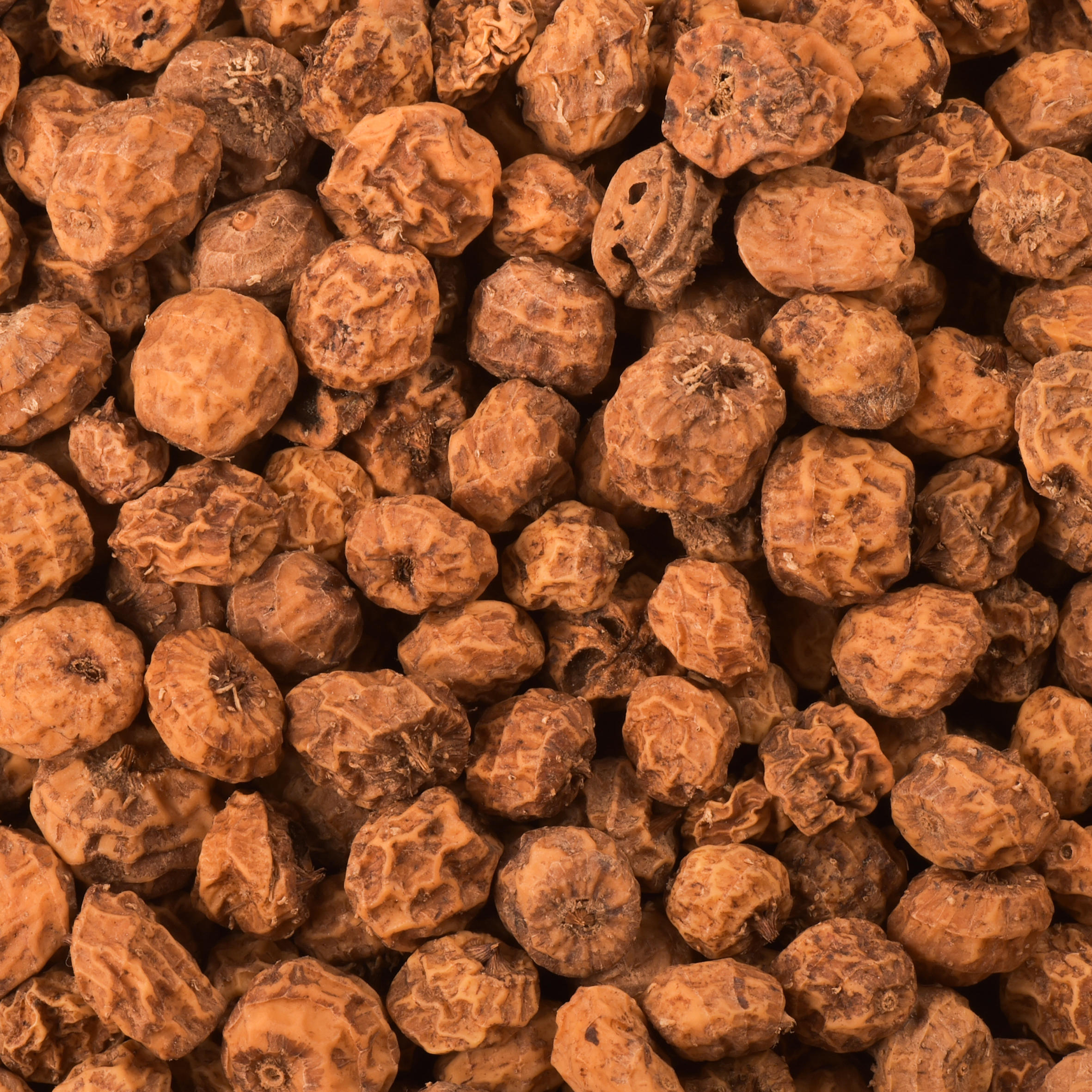 CAPERLAN Semená na lov kapra – Tigrí orech 6/14 mm/20 kg bez · záber 3