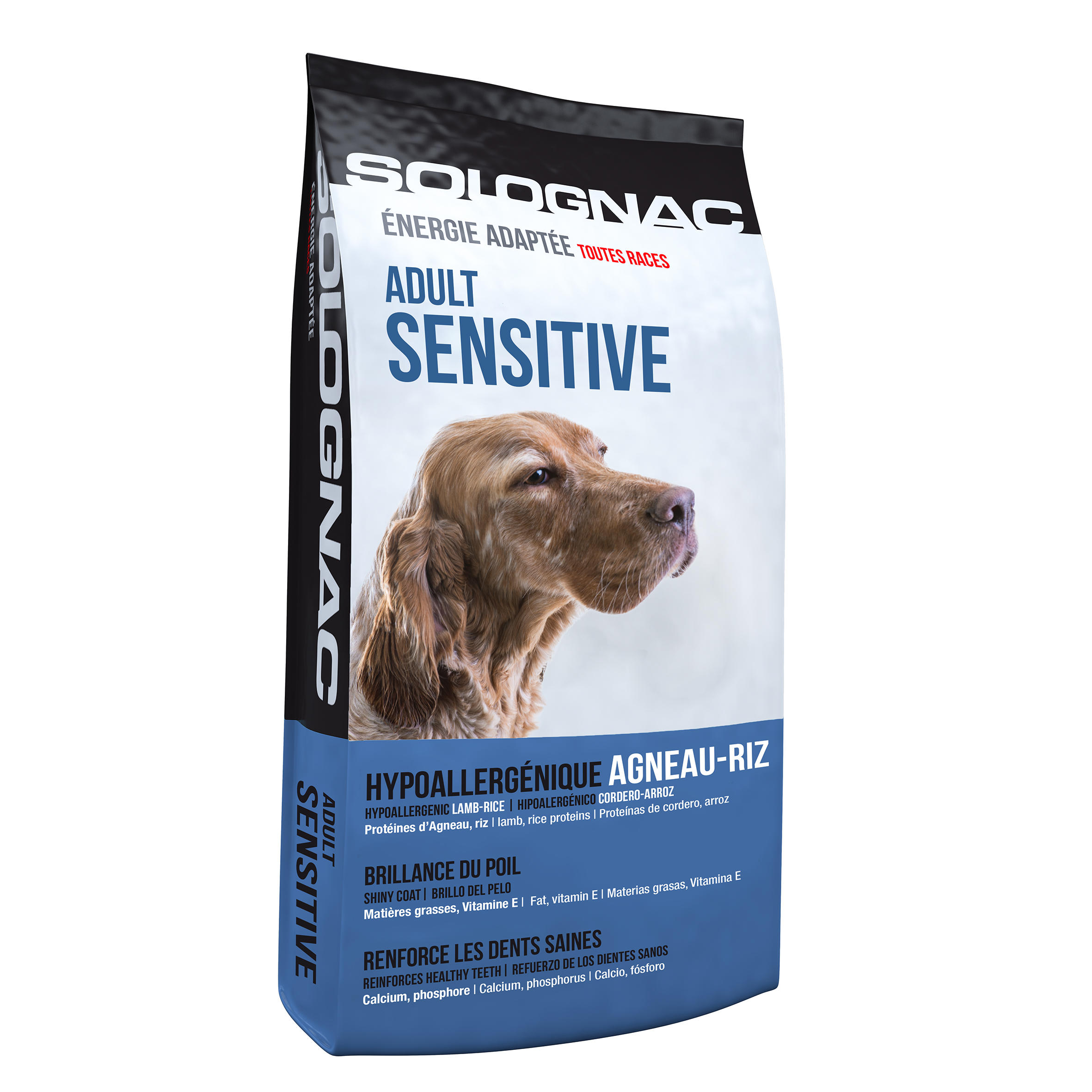 Dog food store for sensitive teeth