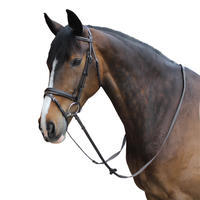Filet + rênes équitation cheval et poney EDIMBURGH marron