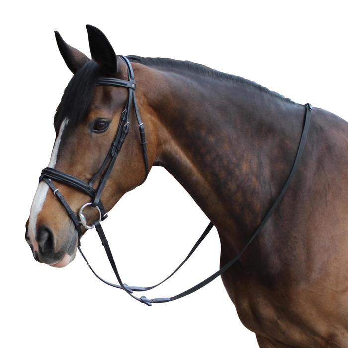 Filet + rênes équitation cheval et poney EDIMBURGH marron Fouganza