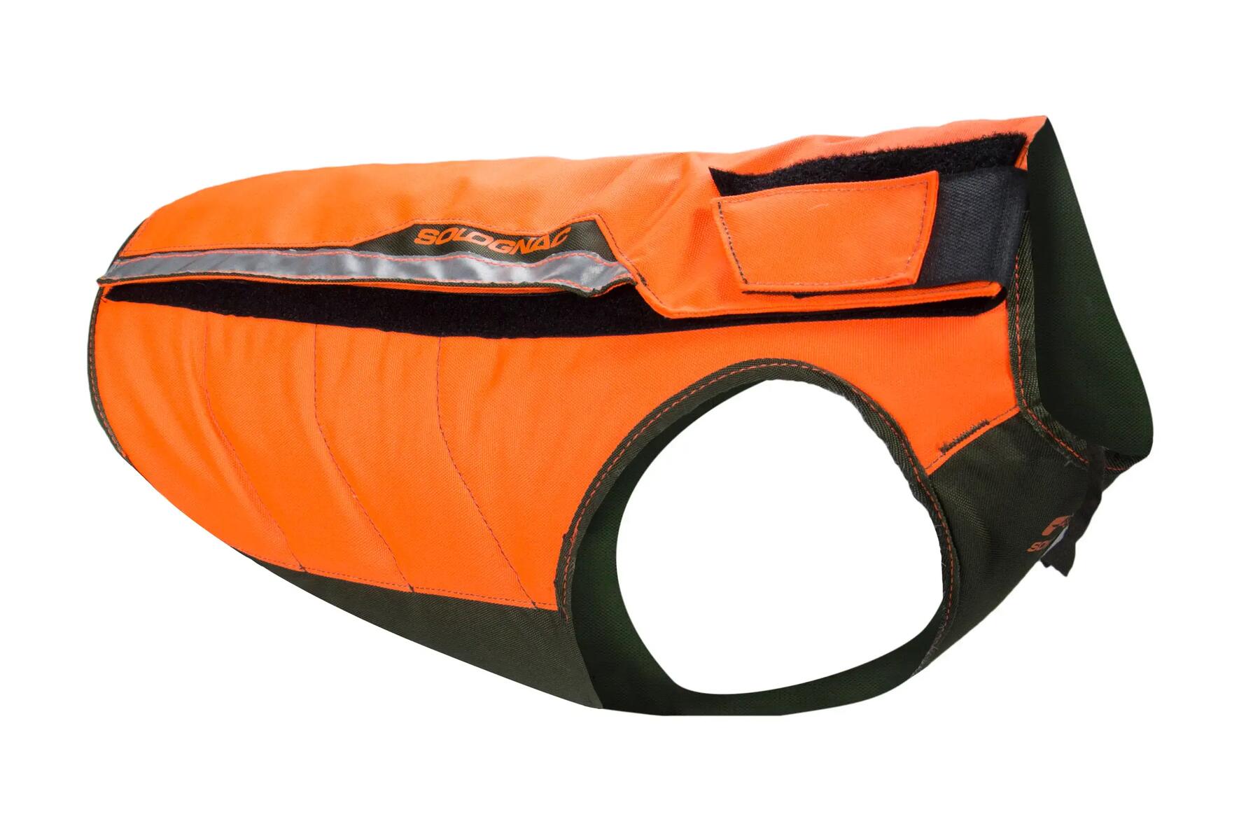 gilet chien chasse