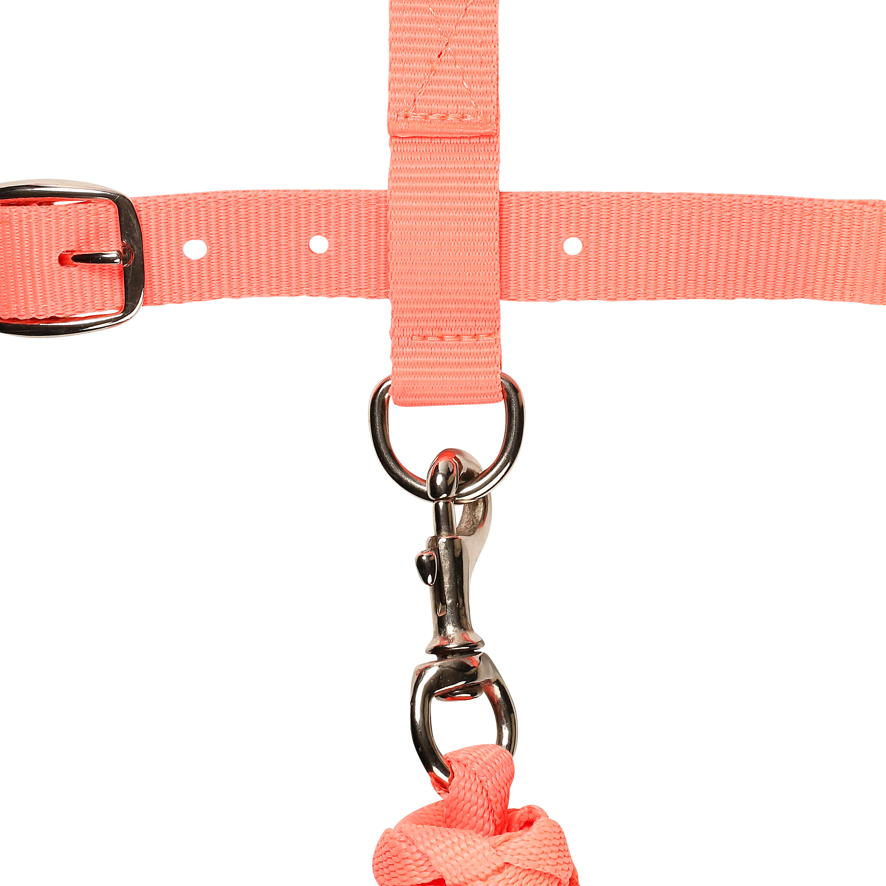 Angel Horse Riding Halter and Leadrope Set for Horse or Pony - Neon Orange 5/7