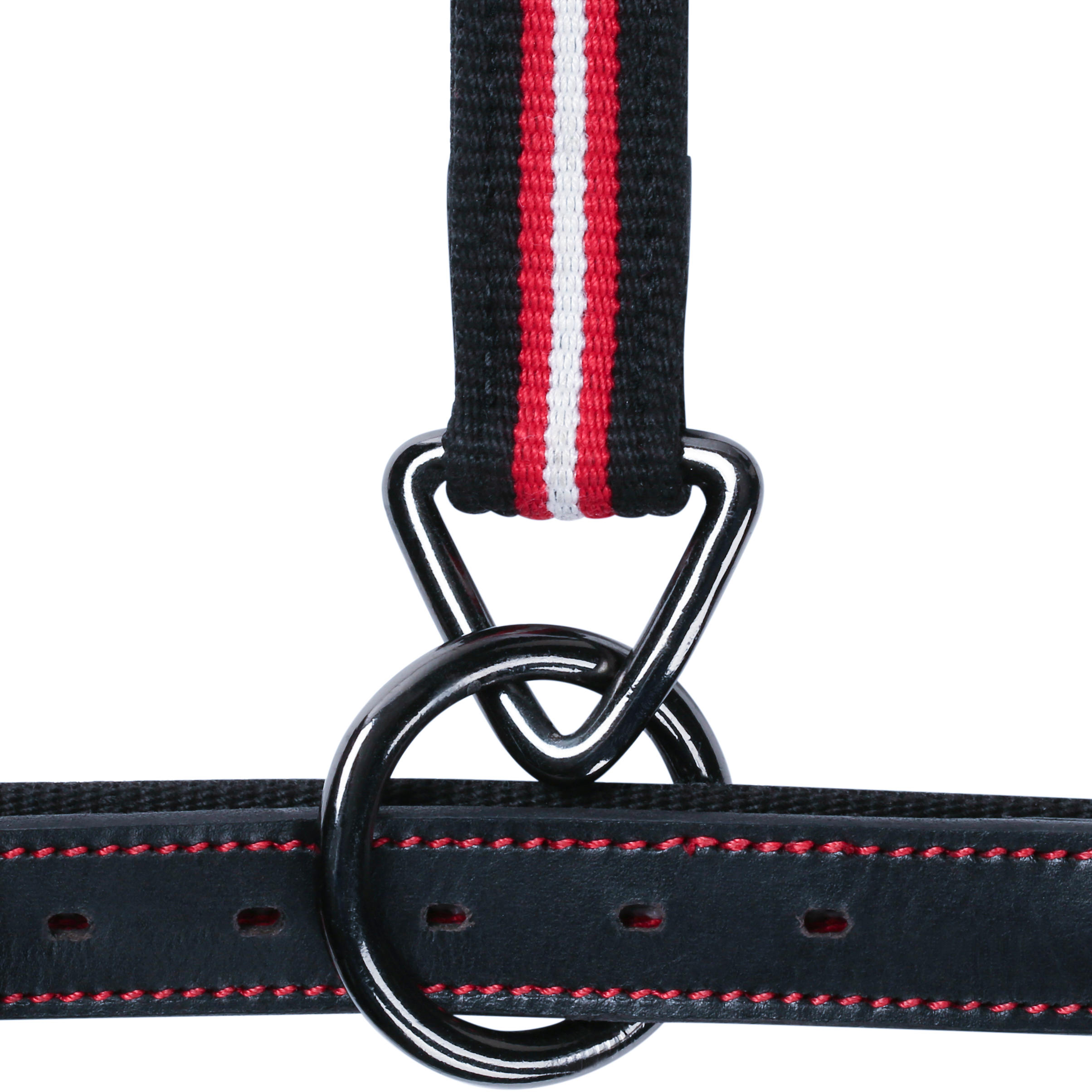 Halfter Performer Pony/Pferd schwarz/rot 2/7