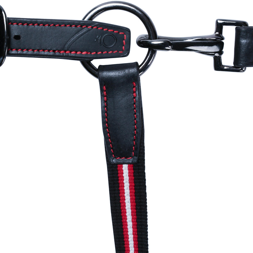 Performer Horse Riding Leather Halter for Horse and Pony - Black/Blue