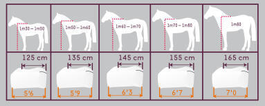 Alt/comment-choisir-taille-couverture-cheval Alt/comment-choisir-taille-couverture-cheval