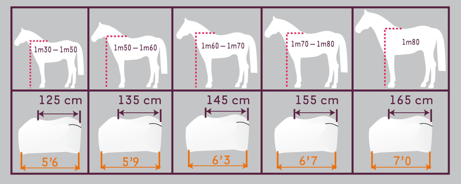 Alt/como-escolher-tamanho-cobrejão-cavalo