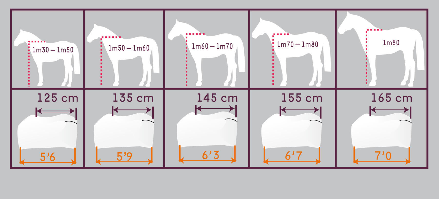 Alt/qual-o-tamanho-correto-do-cobrejão-para-cavalo