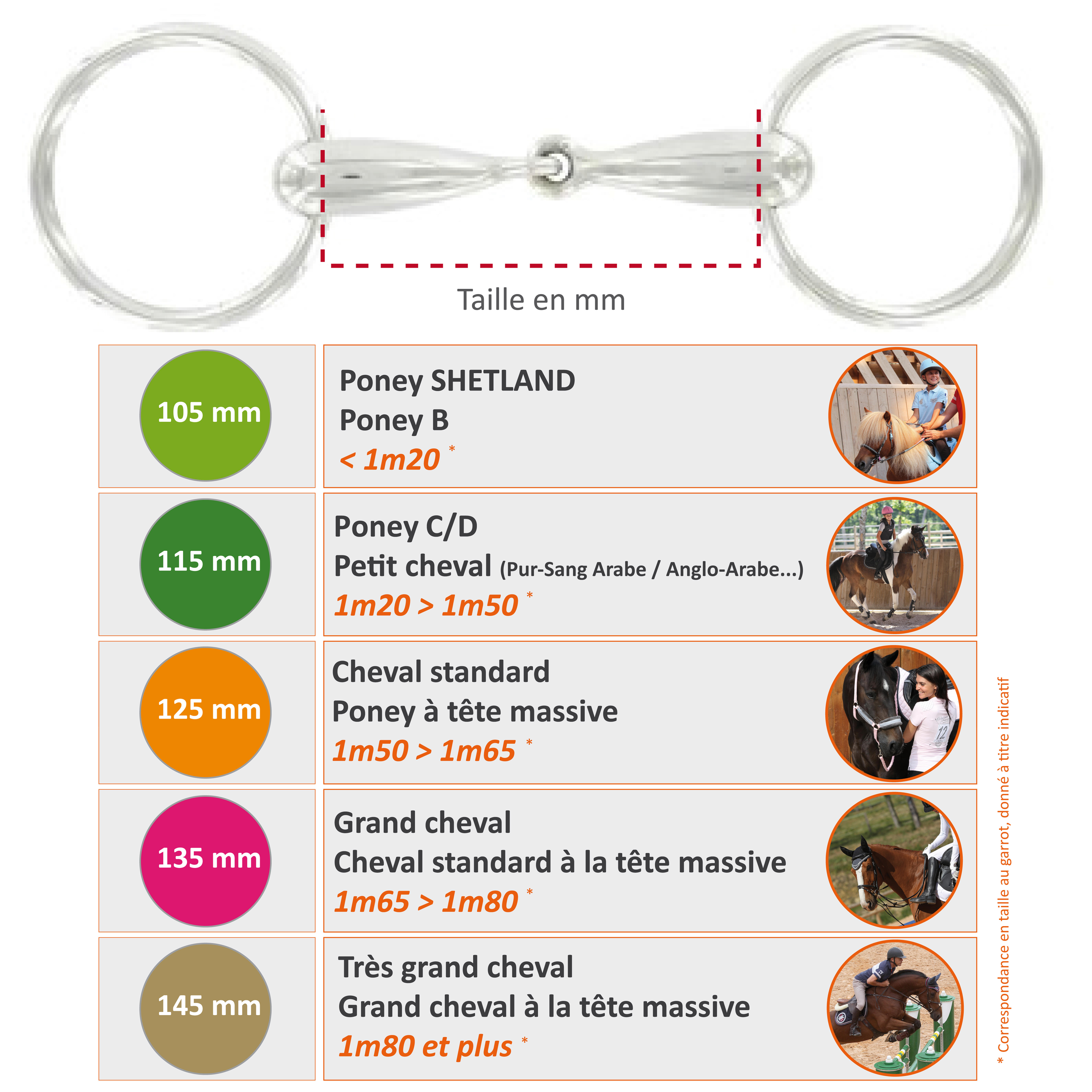 Mors équitation cheval et poney 2 anneaux creux en inox - FOUGANZA