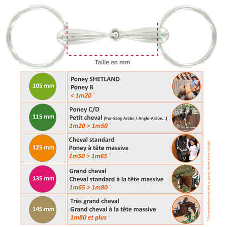 Horse and Pony Riding Stainless Steel Full-Cheek Snaffle