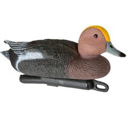 Forme chasse canard siffleur mâle