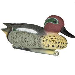 Forme de chasse Sarcelle mâle