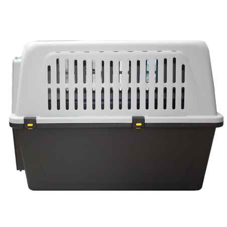 Country Sport Dog Transport Box Size Xl