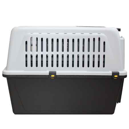Country Sport Dog Transport Box Size Xl