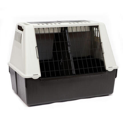 Caisse de transport pour 2 chiens taille L 82x51x61cm