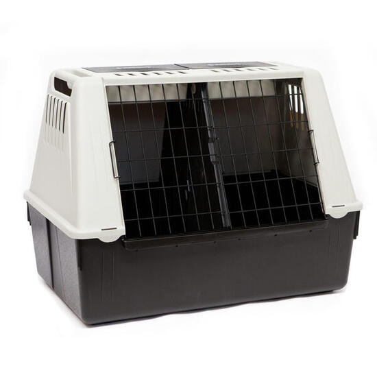 Caisse de transport pour 2 chiens taille L 82x51x61cm