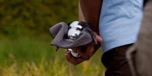 Comment entretenir des boules de pétanque ?