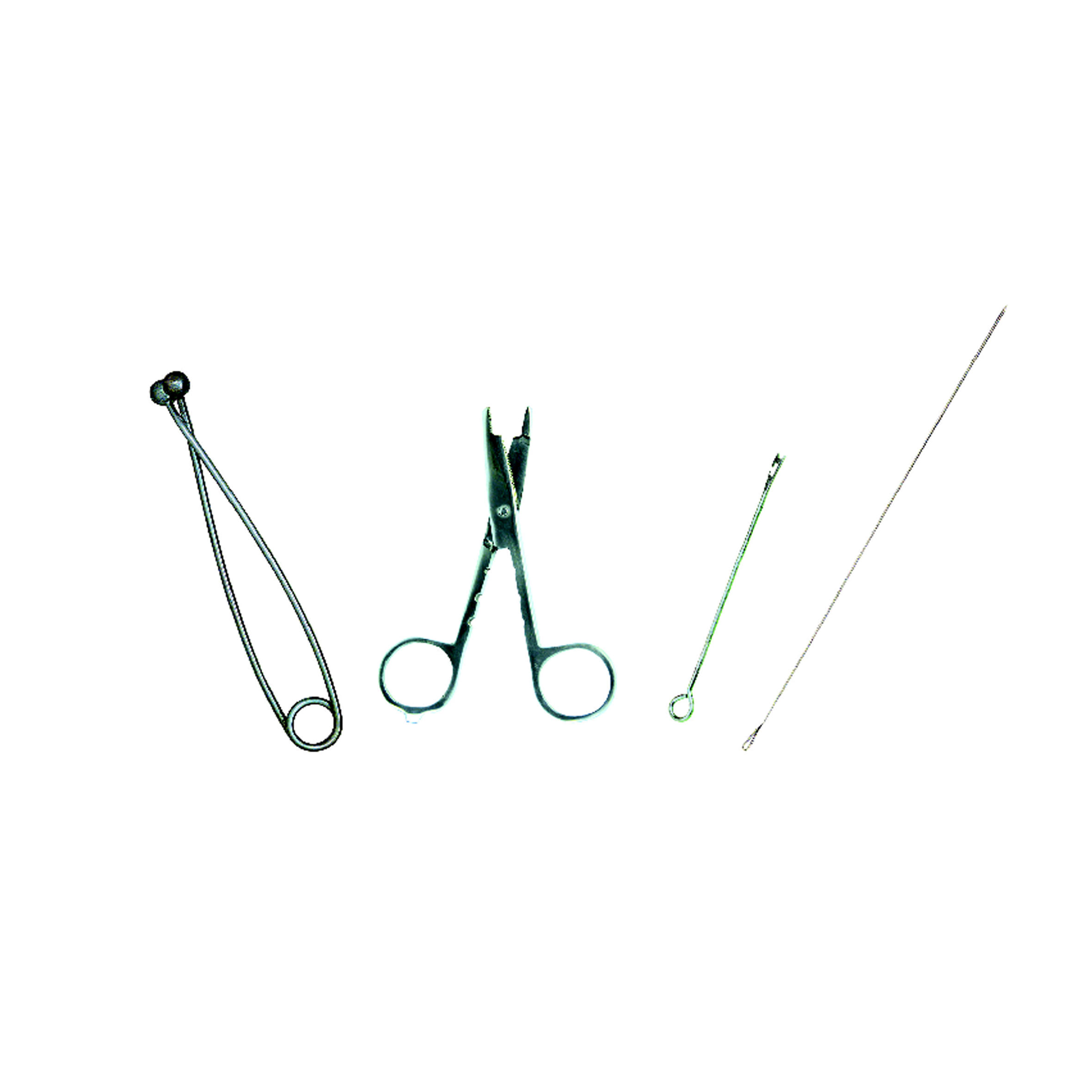 Kit Accesorii Peşti Răpitori