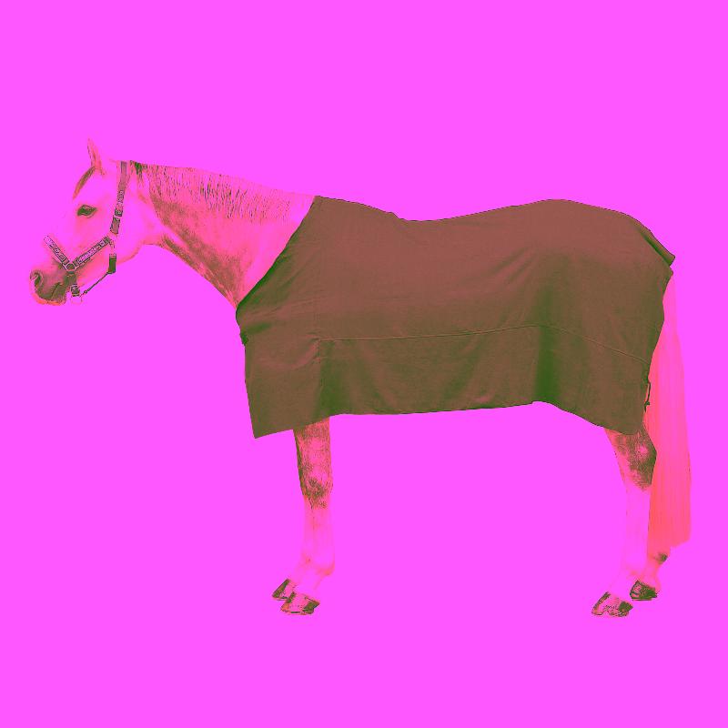Horse Riding Drying Rug for Horse and Pony - Grey