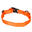 Collier chien orange 100