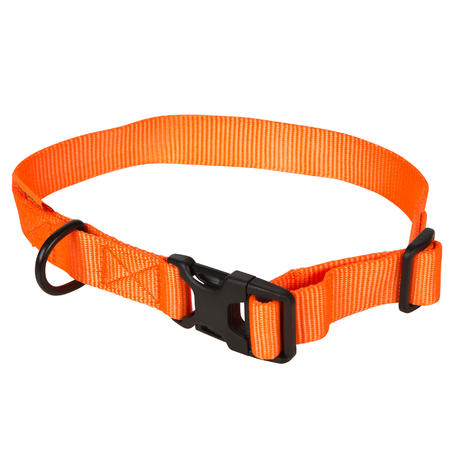 Narandžasta ogrlica za psa 100