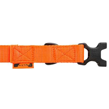 dog collar orange100