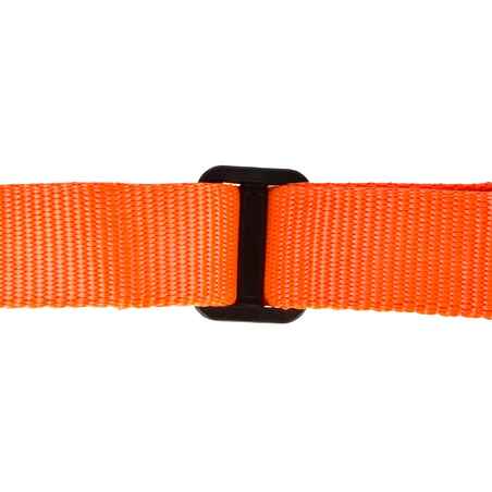 dog collar orange100