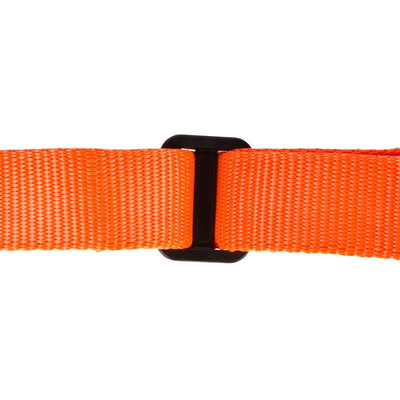 Collier chien orange 100