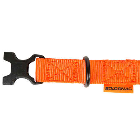 dog collar orange100