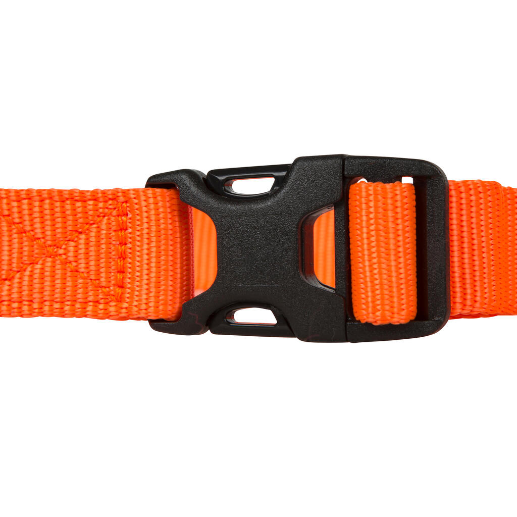 Hundehalsband orange100