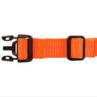 100 dog collar orange