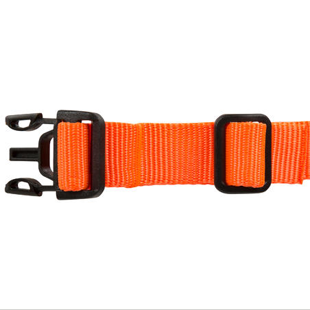 100 dog collar orange
