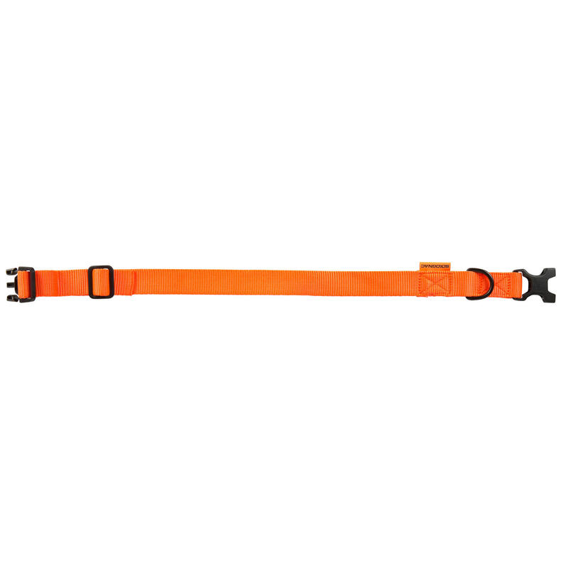 Collier chien 100 orange